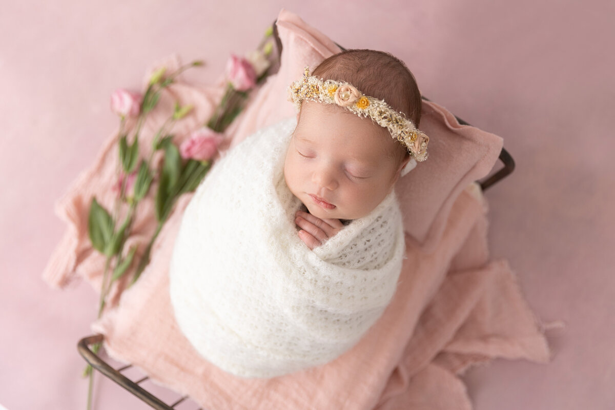 South Jersey Newborn Photographer_39