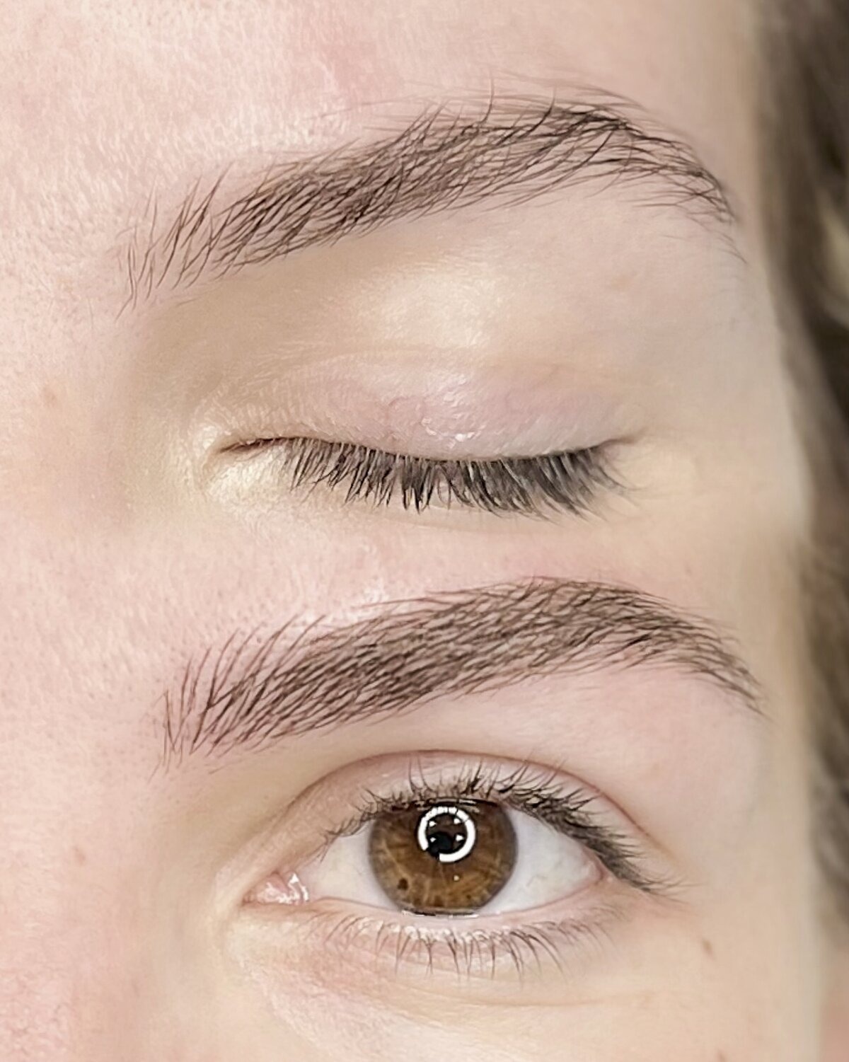 jwbrows38