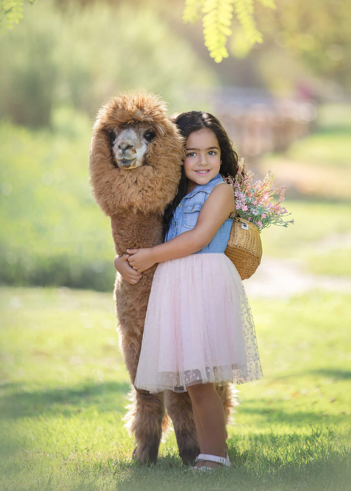 Young girl  hugging an alpaca at Griffith Park by Los Angeles children's photographer Elsie Rose Photography