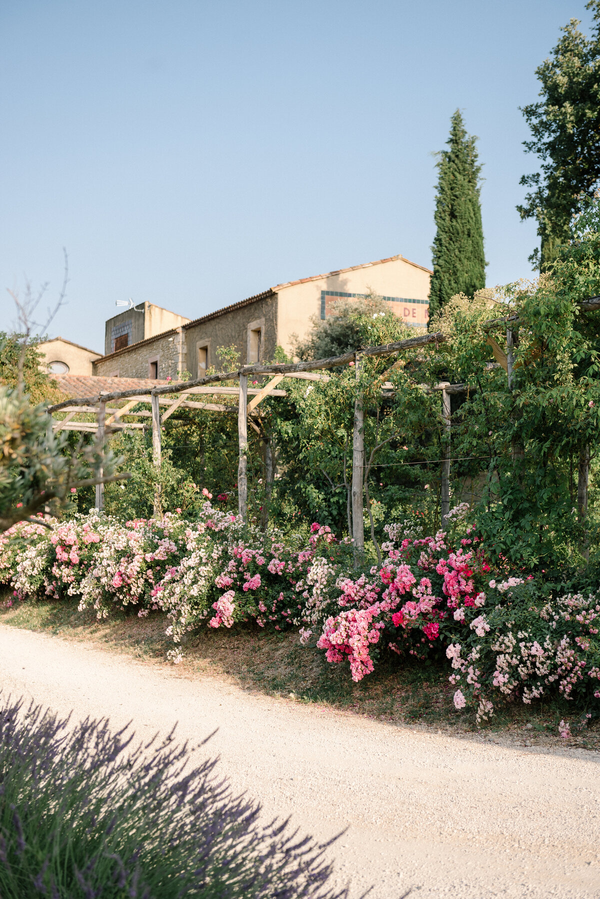 roses at bastide de marie in provence