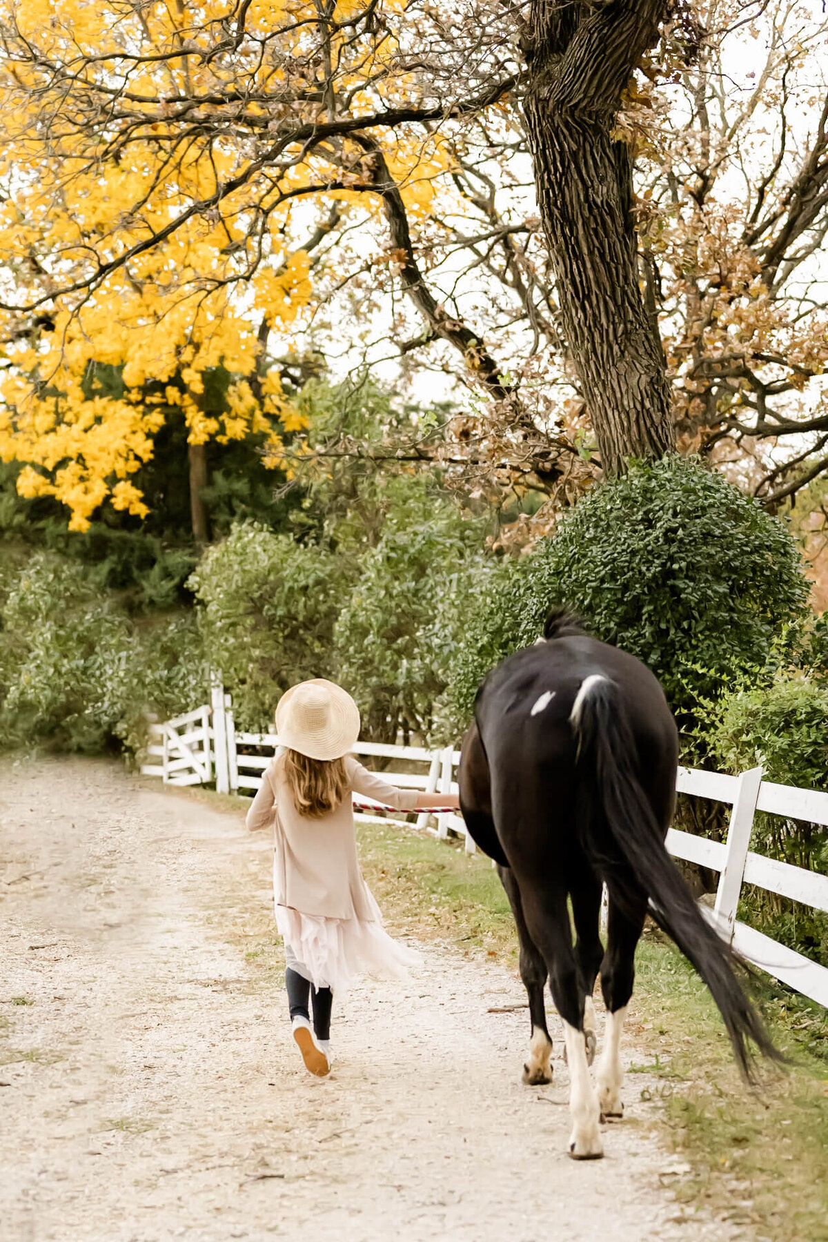 Girl walking horse during family session at Sunset Farm near Wheaton, IL.