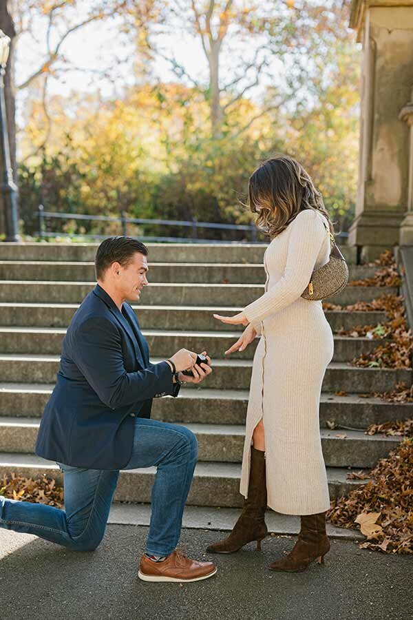 how to plan a proposal in central park new york city