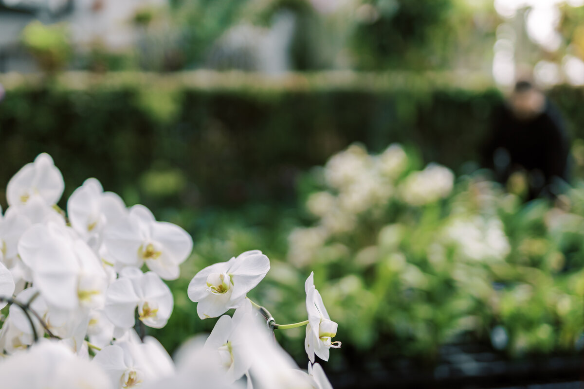 Orchid-Dynasty-Salt-Lake-City-Branding-photography-1008-3