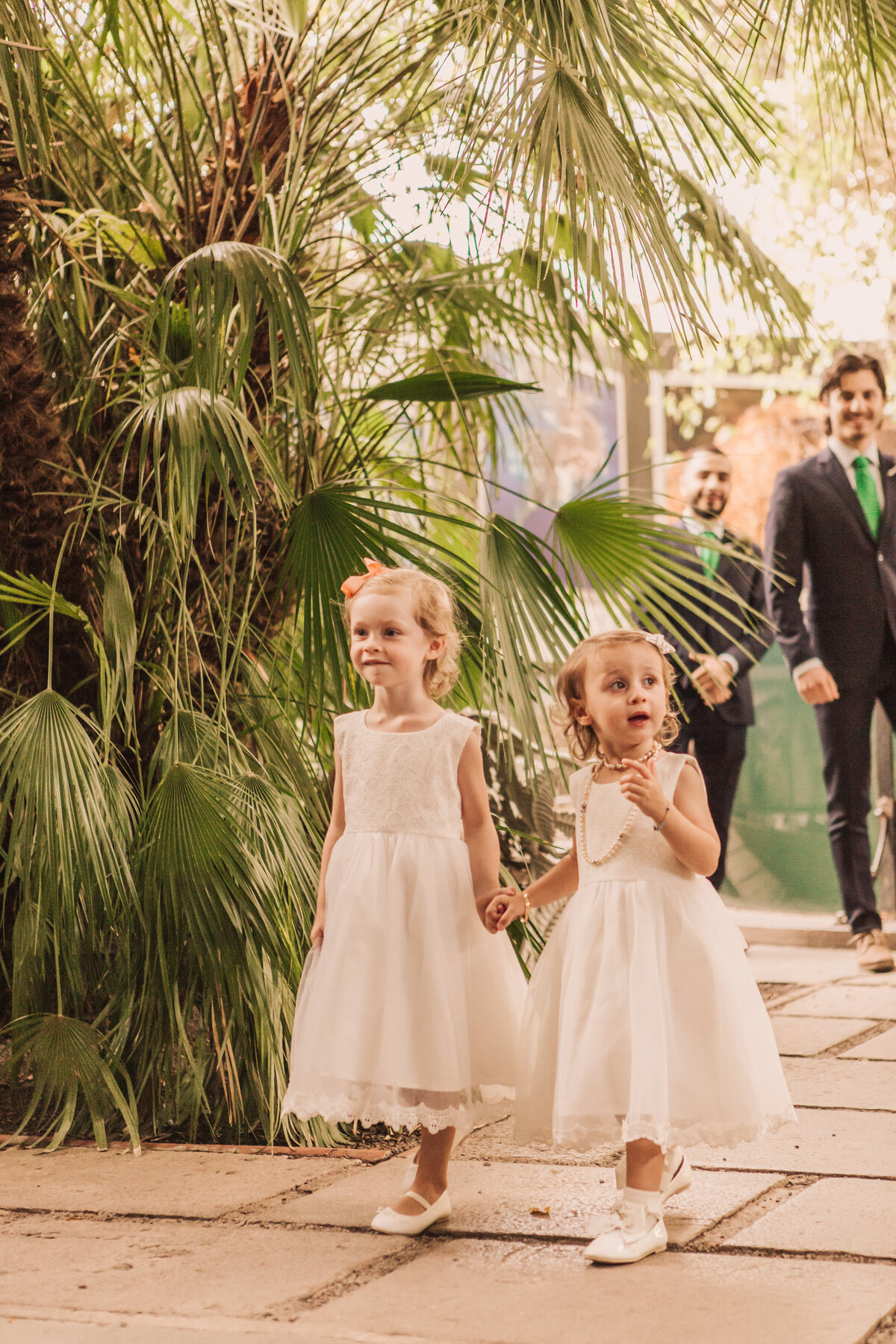 Frida_Furberg_photographer_Fjarilshuset_Hagaparken_056