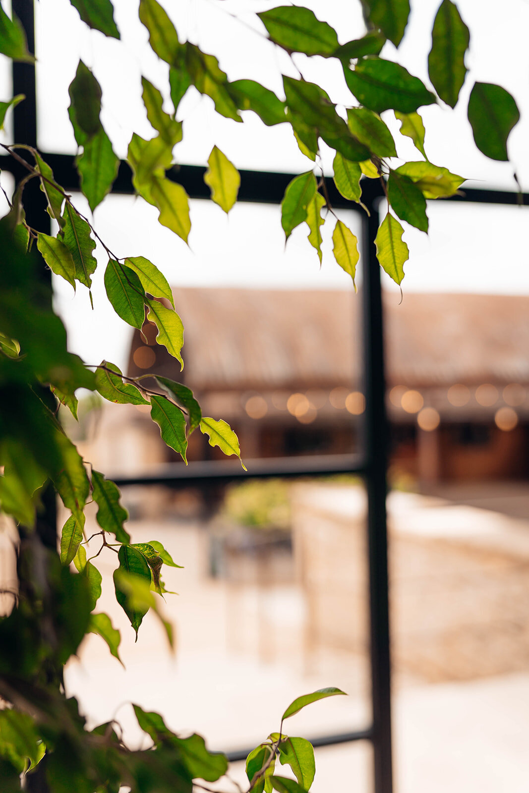 EmilyCollettPhotography0016