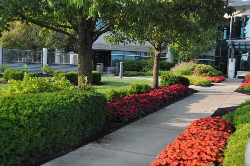 Commercial landscape company project in Kansas City