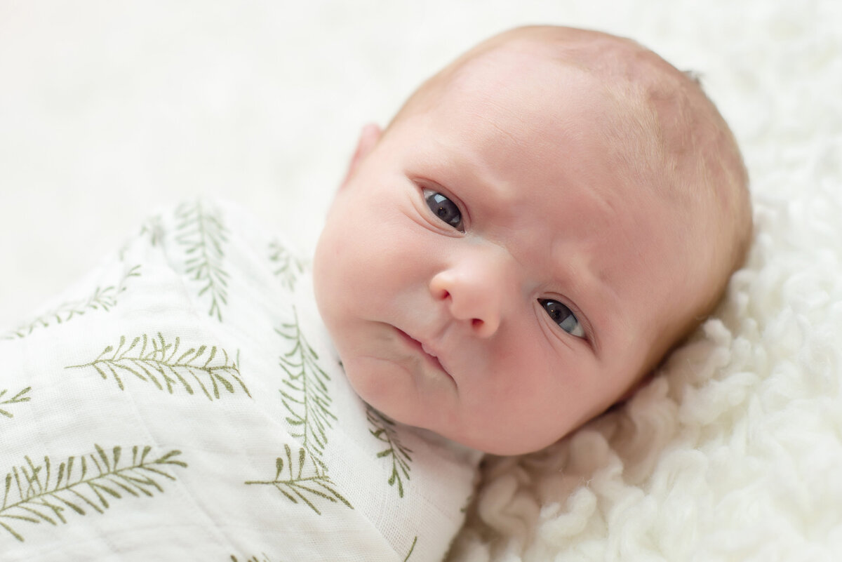 Newborn baby girl swaddled awake portrait