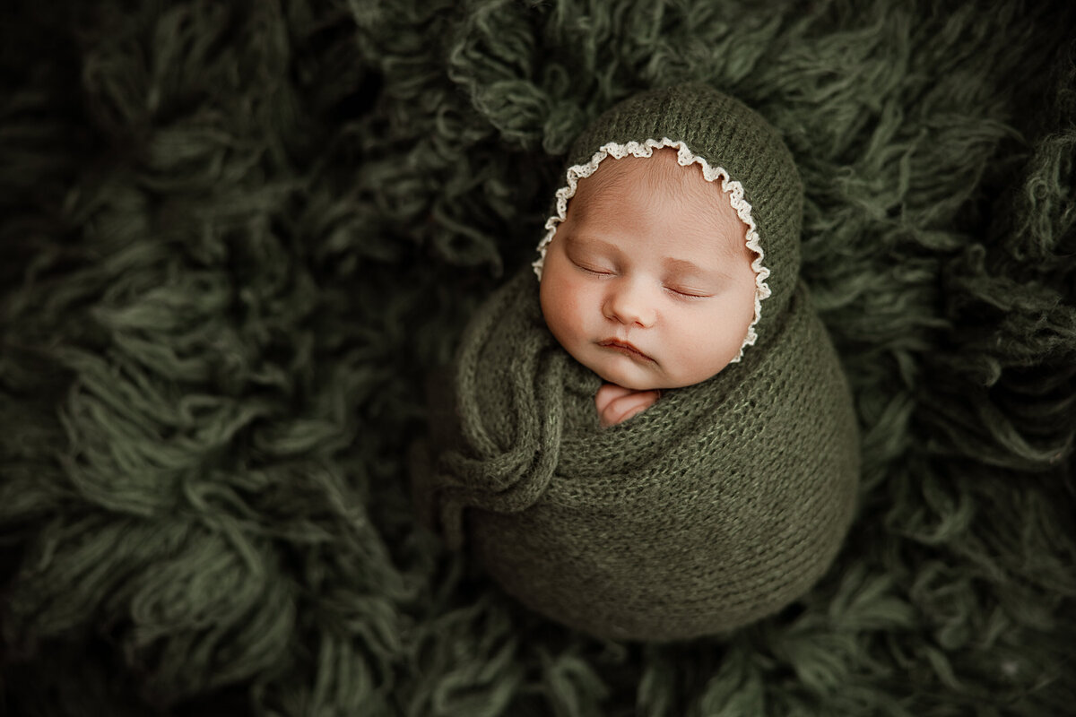 newborn photography north al