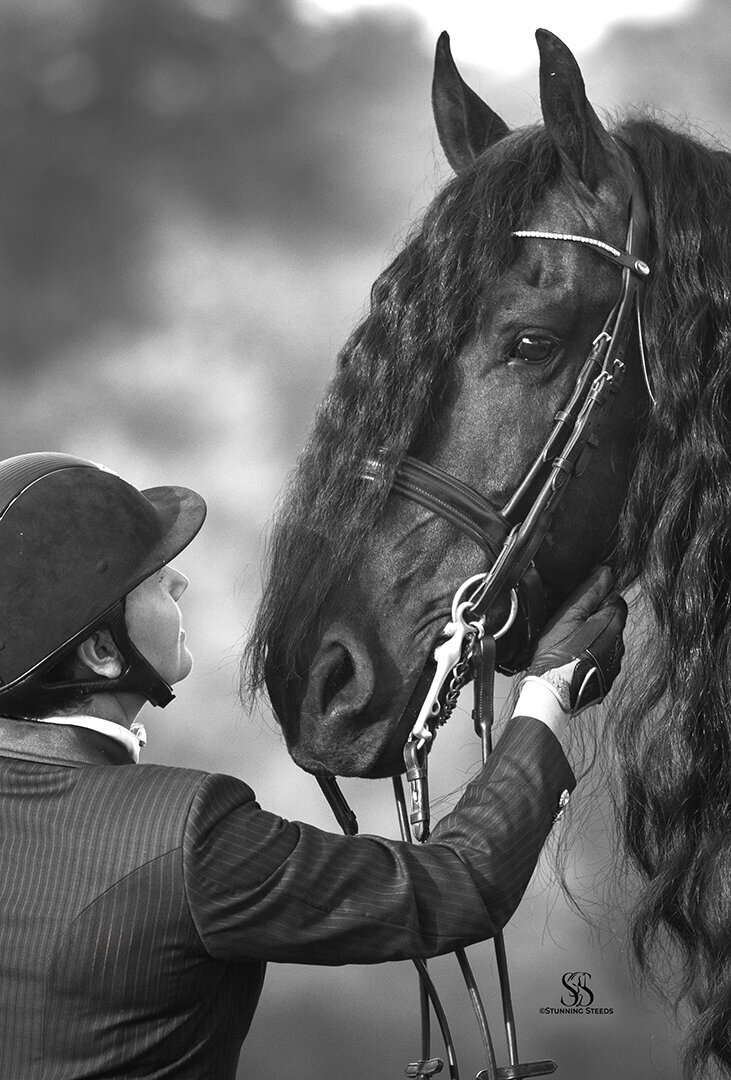 StunningSteedsPhoto-HR-0819BW