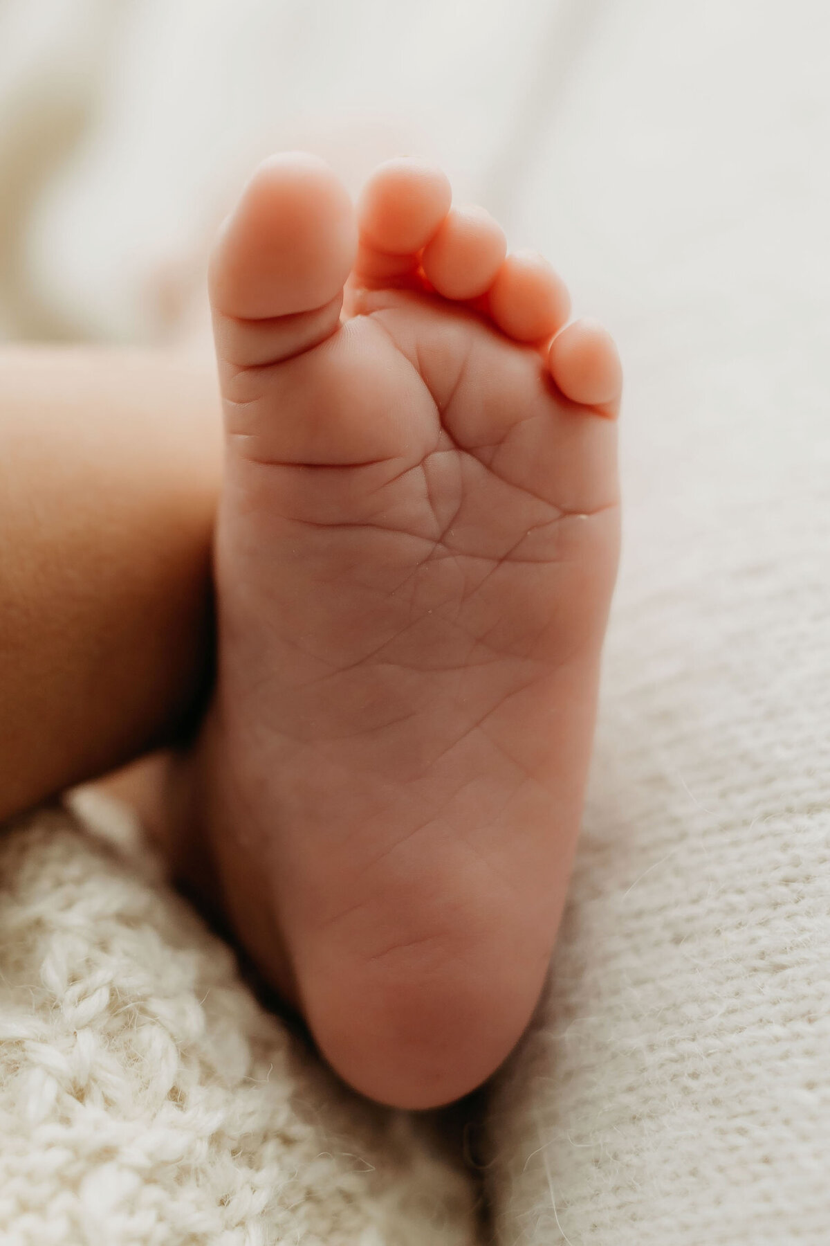 vancouver-wa-newborn-photographer-028