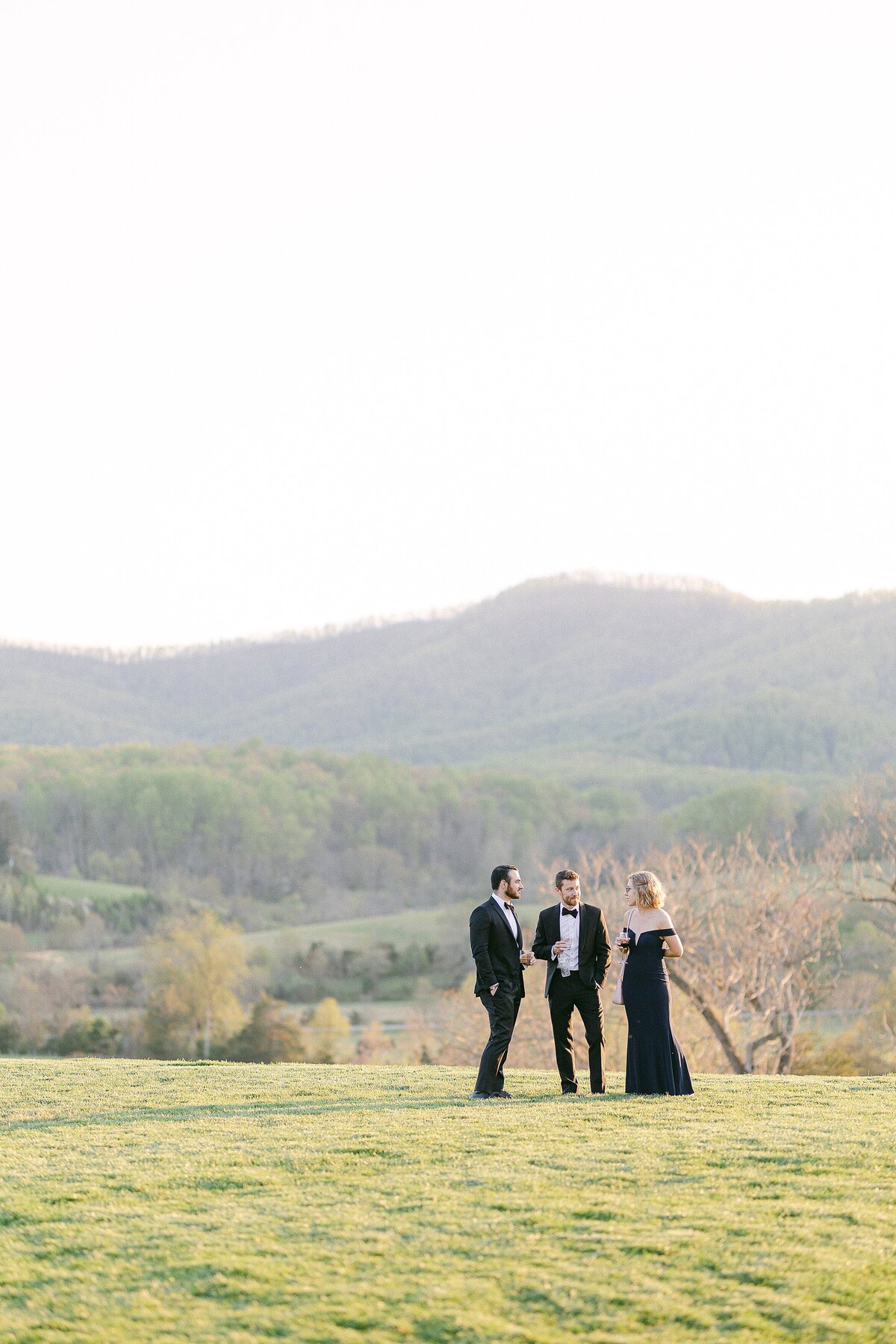 Costola Photography Pippin Hill Farm and Vineyard Wedding Charlottesville Photographer_3329