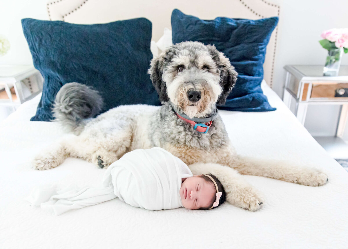 Sharon-Ma-newborn-photographer-14