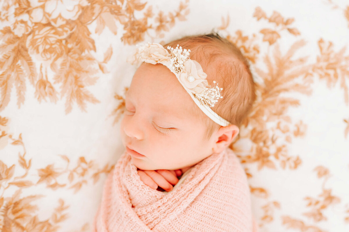 springfield-mo-newborn-photographer-200