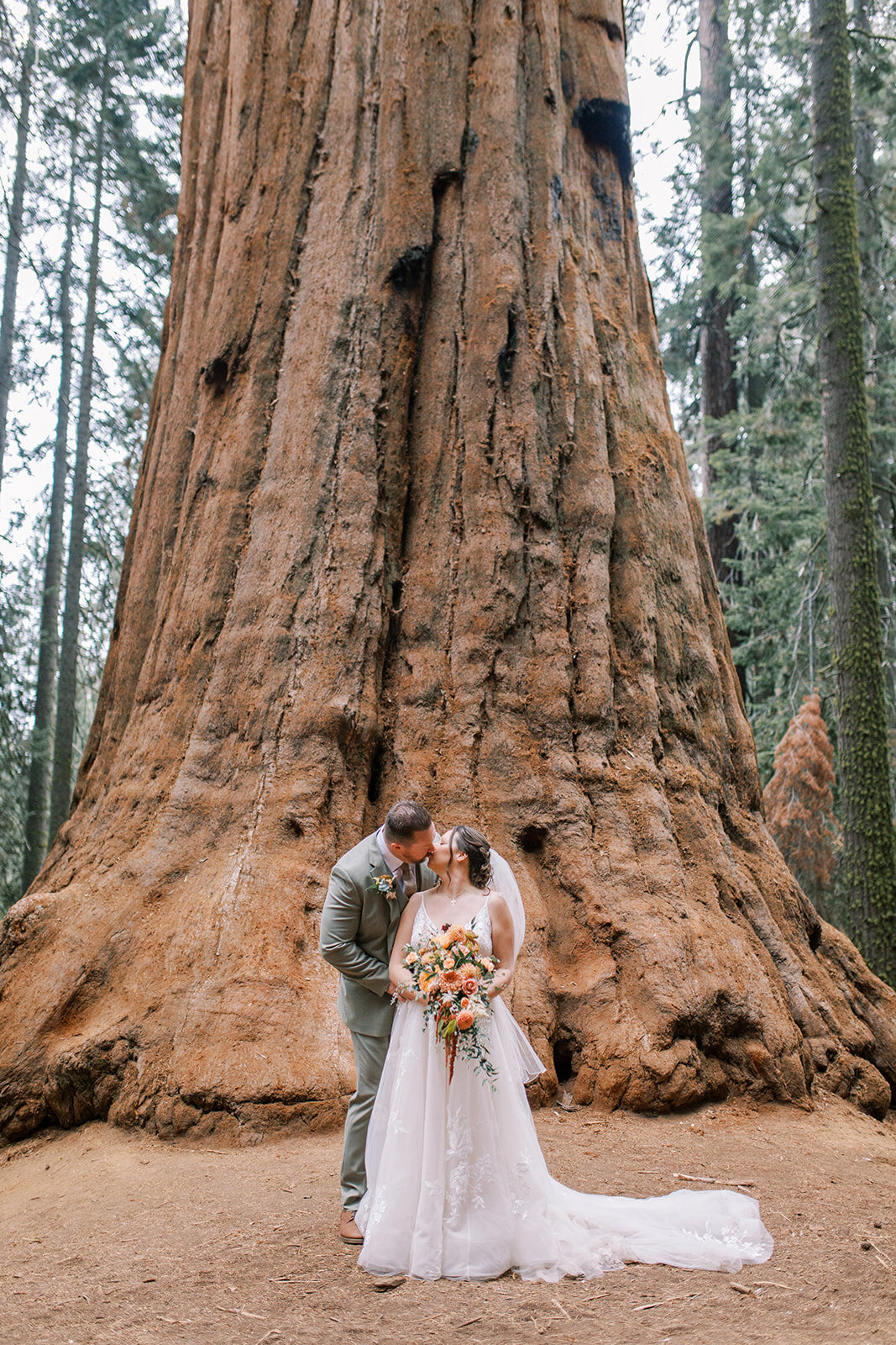 Kimberly and Keith Elopement in Sequoia-369_websize