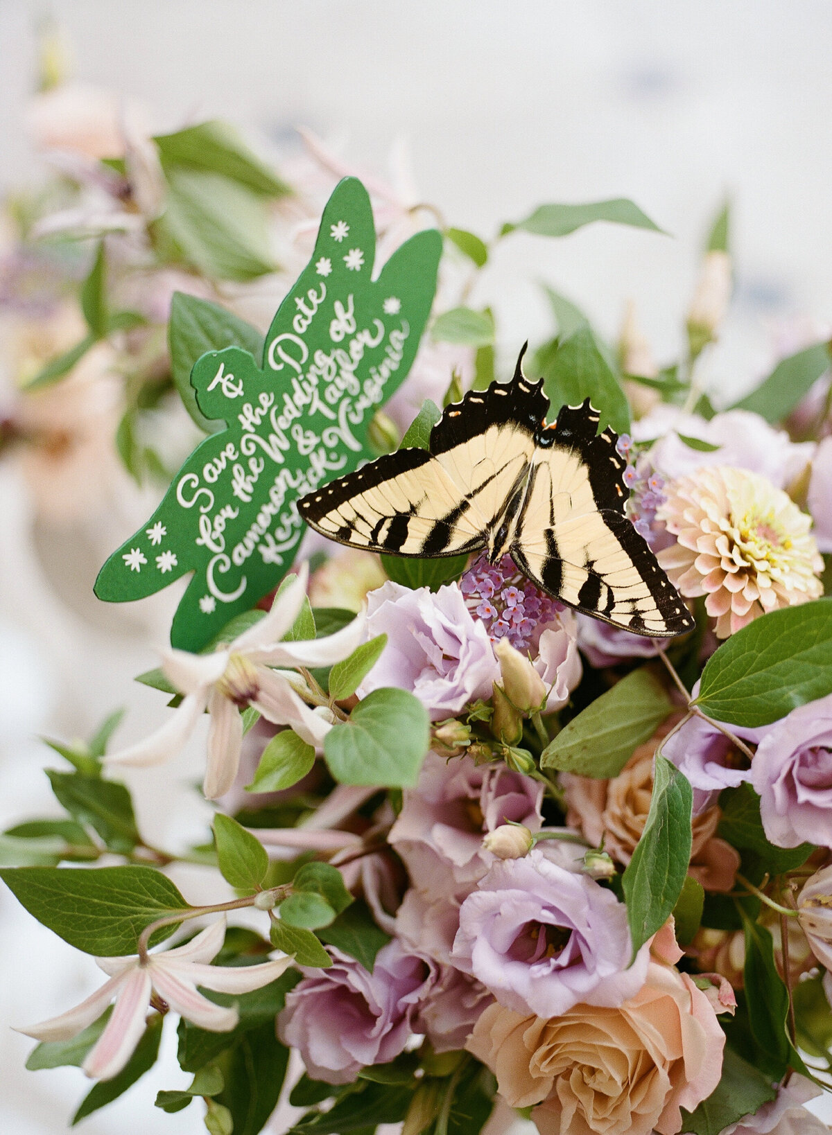 Bramblewood-JenFarielloPhotography-116