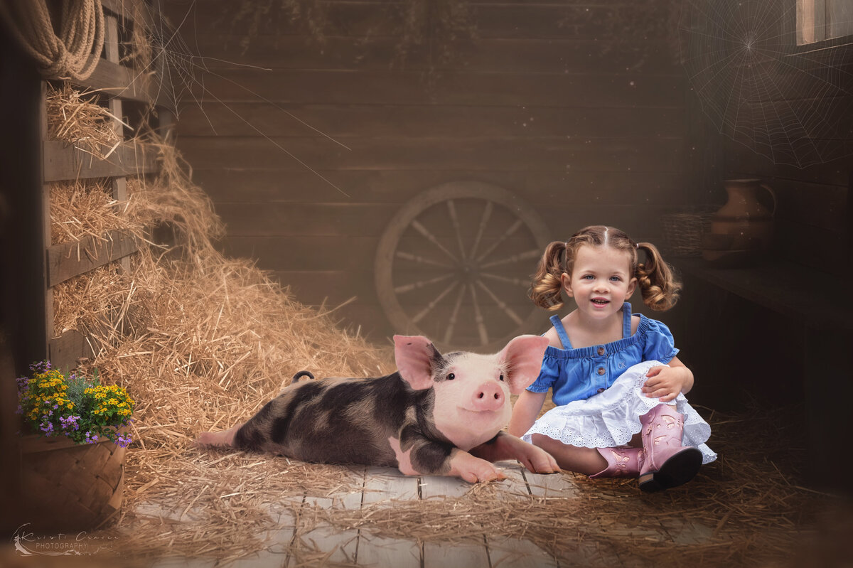 pig.barn web