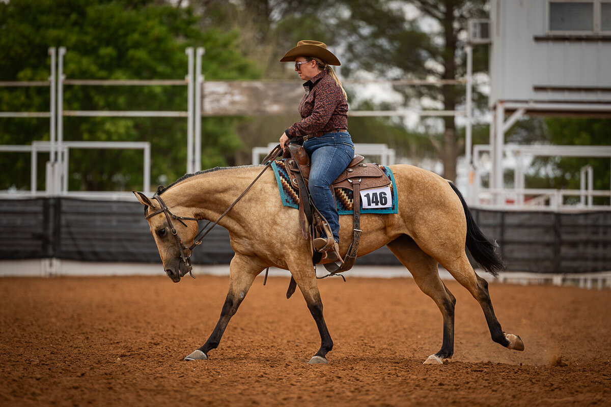 New-Mexico-Horse-Show-Photographer-007