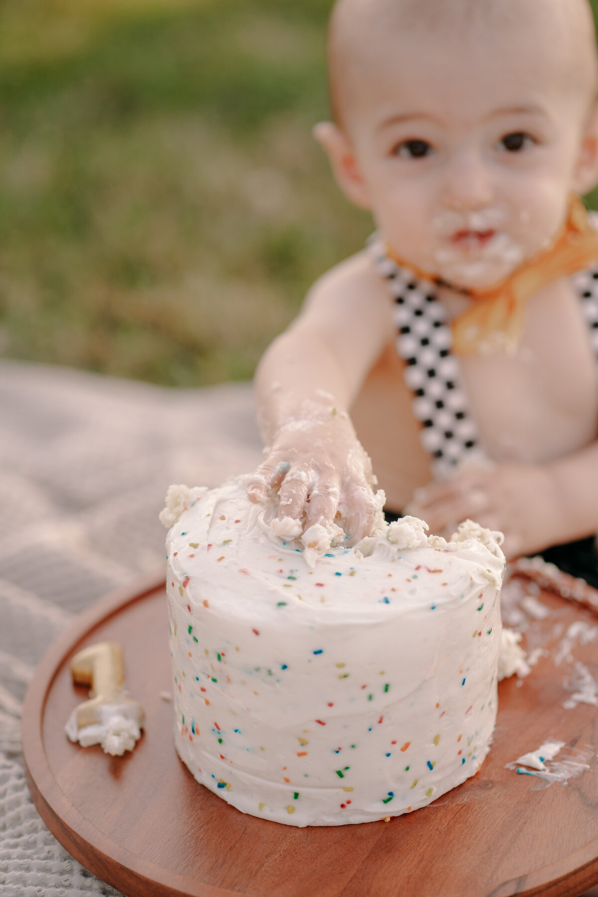 Milestone-Cake-Smash-Clinton-New-York-Santana-Block-Photography-172