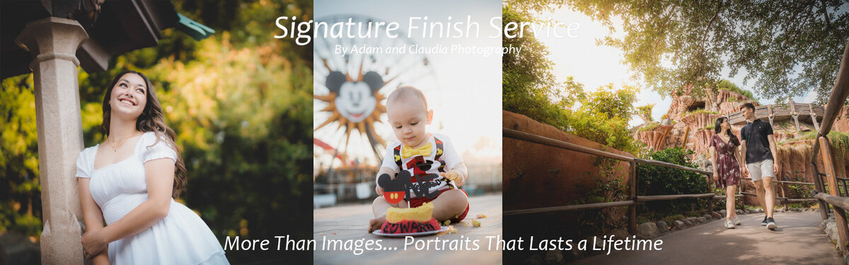Disneyland Masterpiece Portraits banner