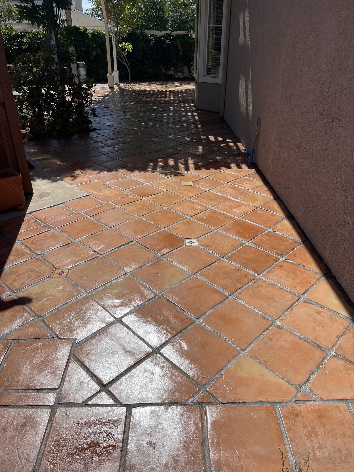 Saltillo Restoration -1