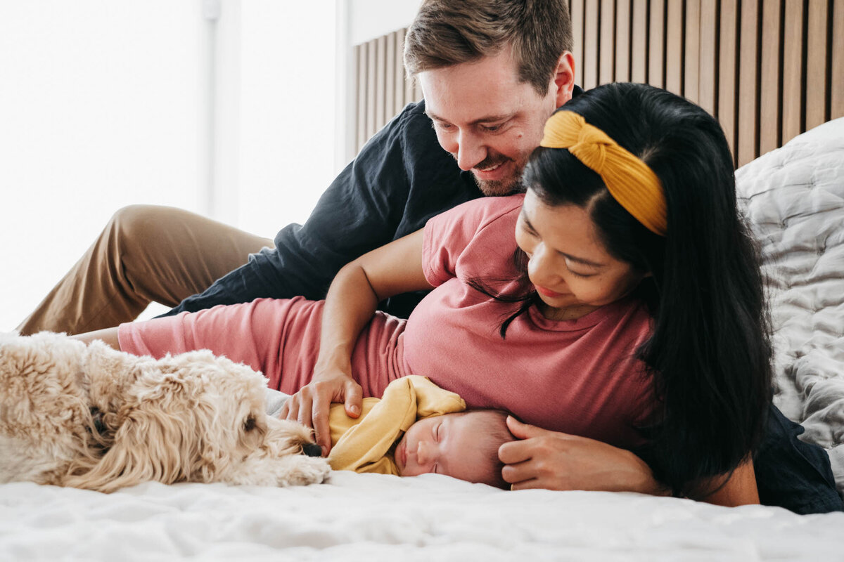 Newborn baby in bed with parents and dog