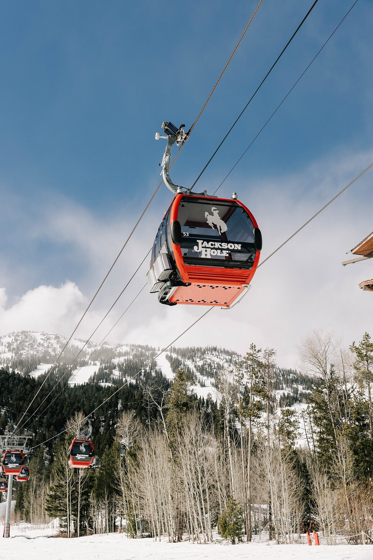 jackson-hole-wedding-photographer_2568