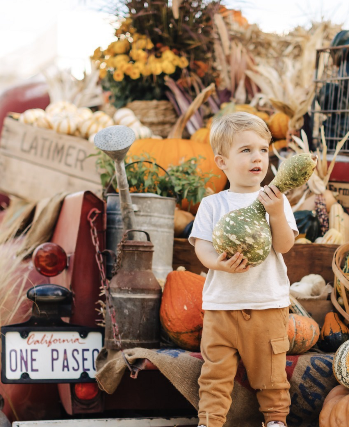 A fall harvest event at One Paseo
