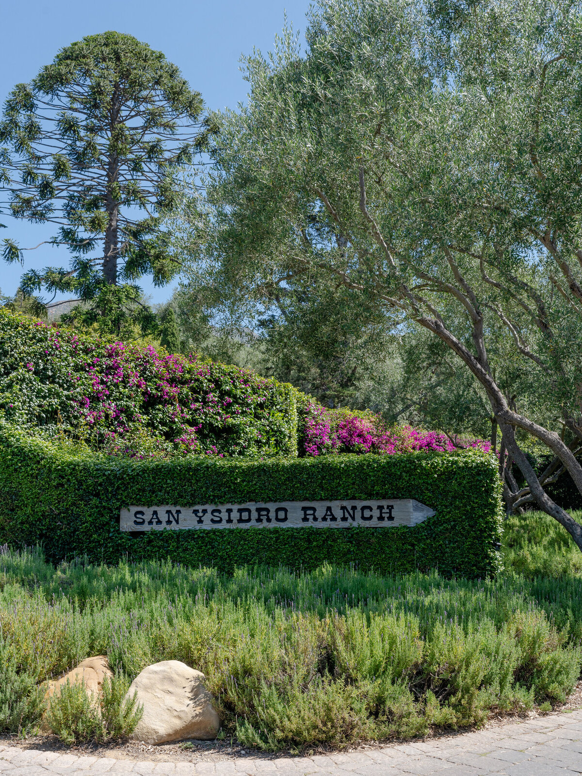 RYP_W_Chloe+Chris-006_(2048)