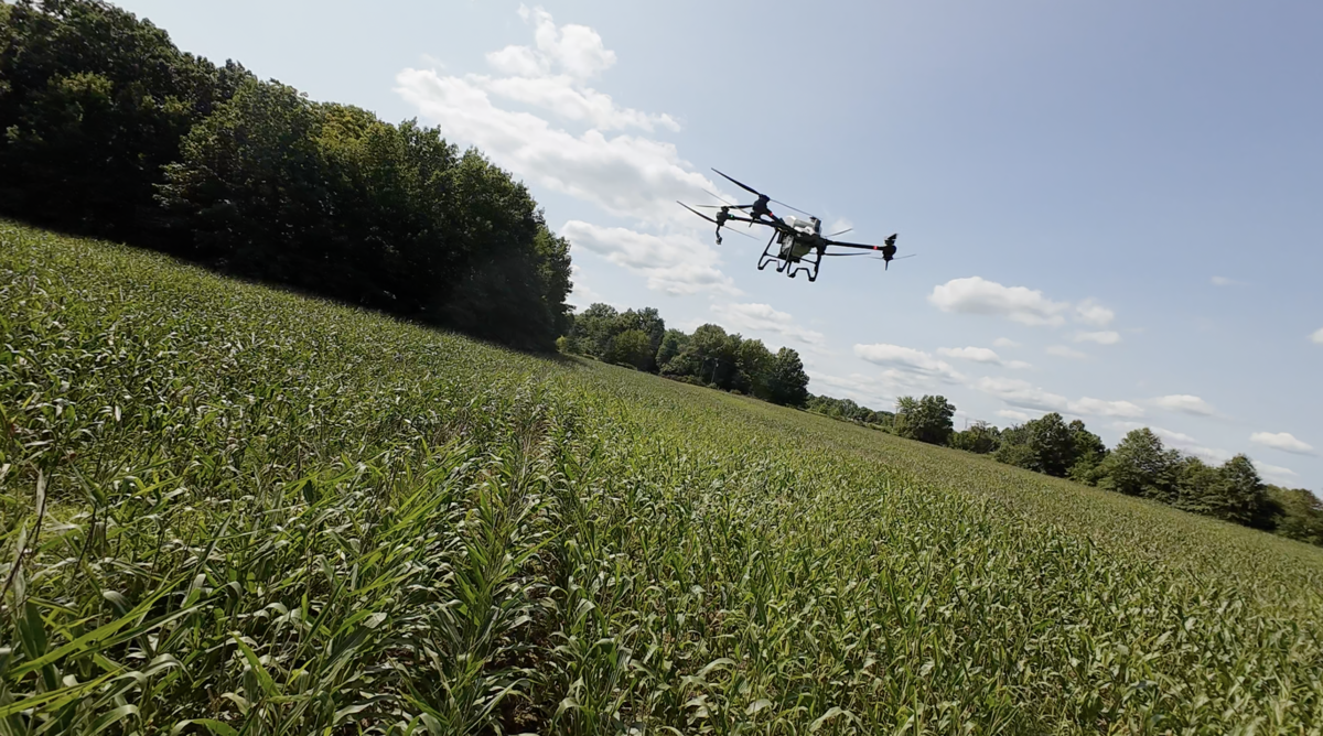 Raven 6 Rising applying fungicide with agriculture drones