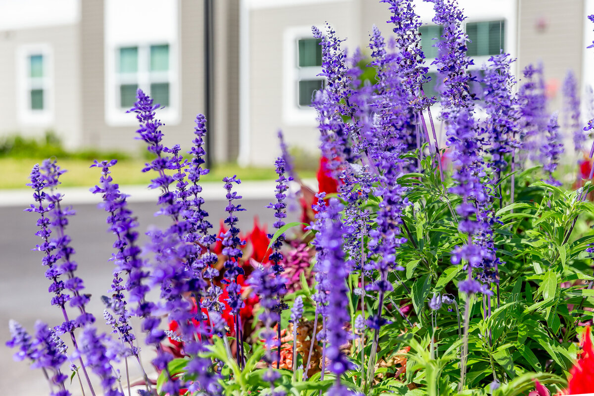 042324ROCHESTERPARK-6