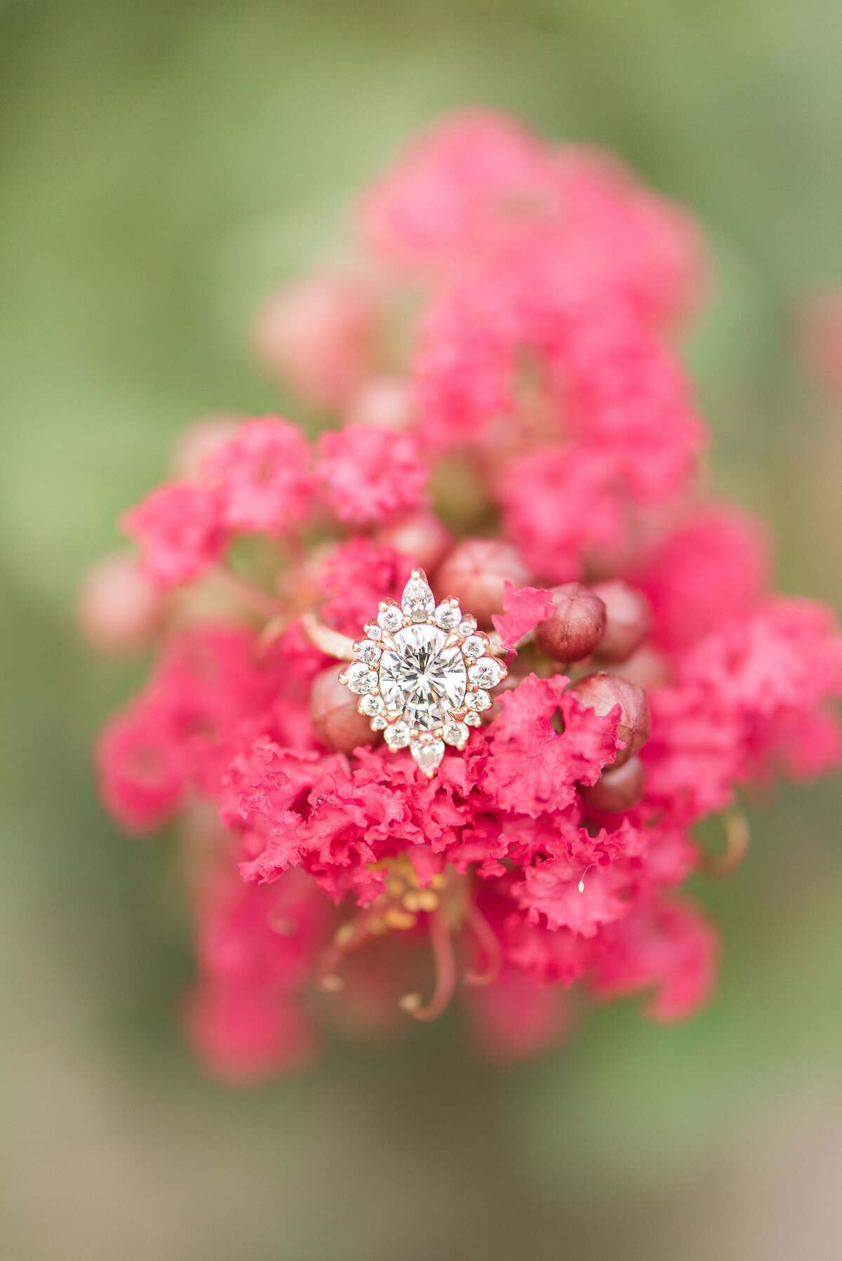 engagement ring on pink flowers