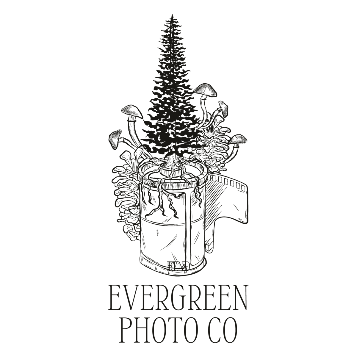 Evergreen Logos-10