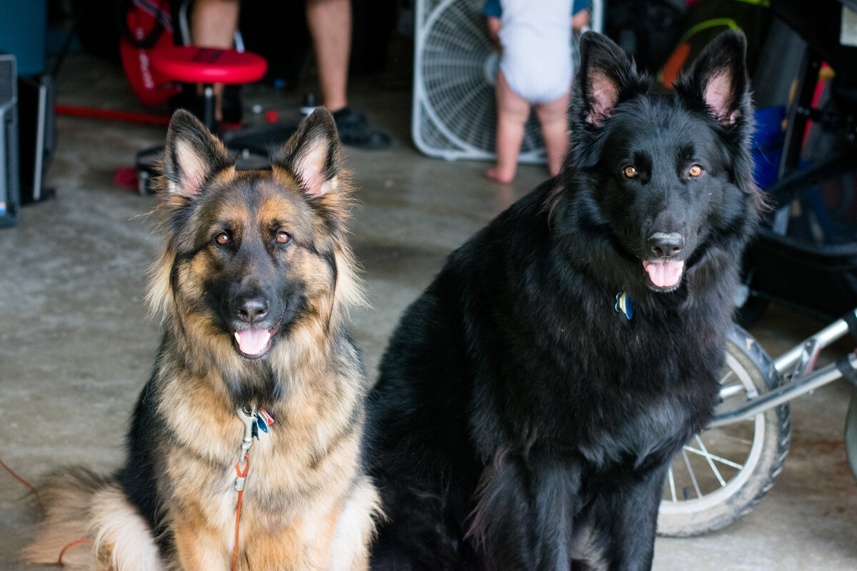 DSC_0957-6