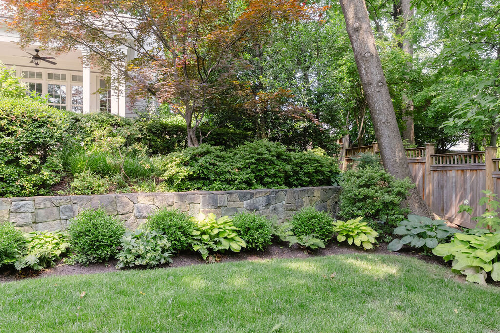 native plant garden dc 11