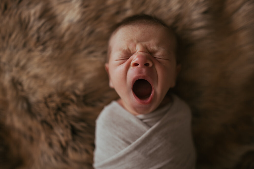 Elizabeth Priniski Madison Newborn Photogapher - James-9