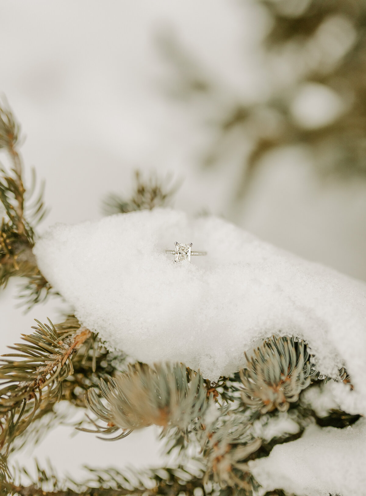 Engaged! (14)
