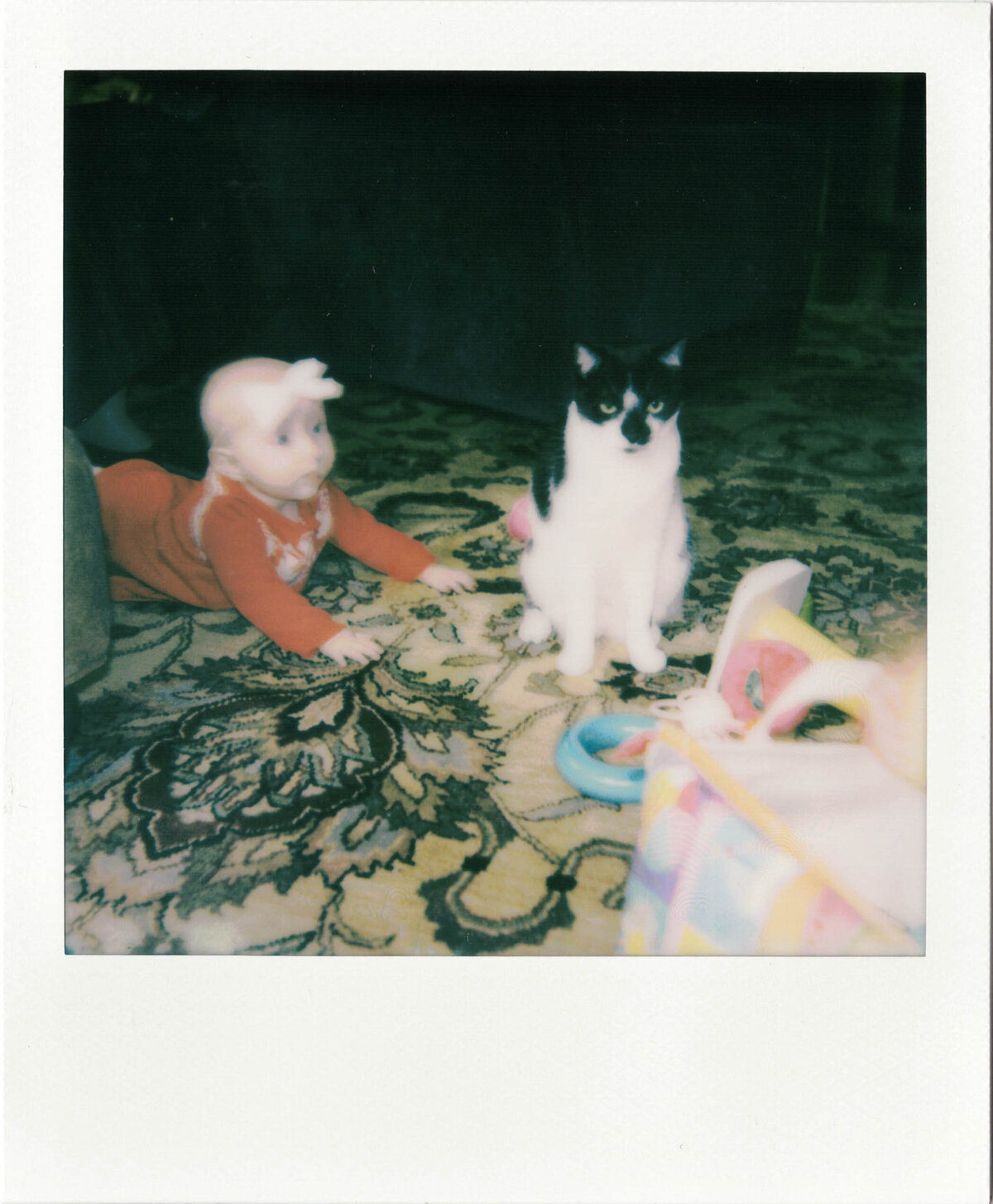 beggan-family-polaroids-3