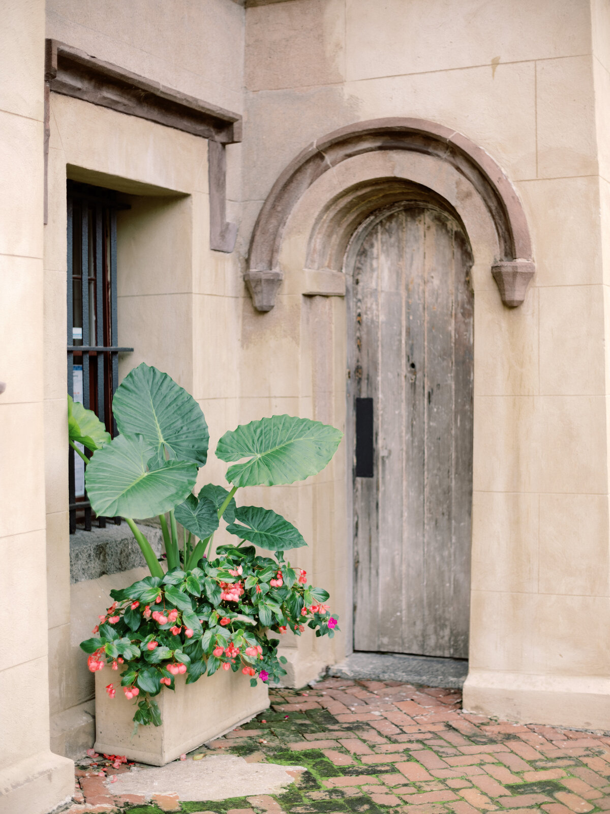 The image showcases a charming entrance with lush greenery in a planter, combined with an aged wooden door, creating an inviting and serene atmosphere.