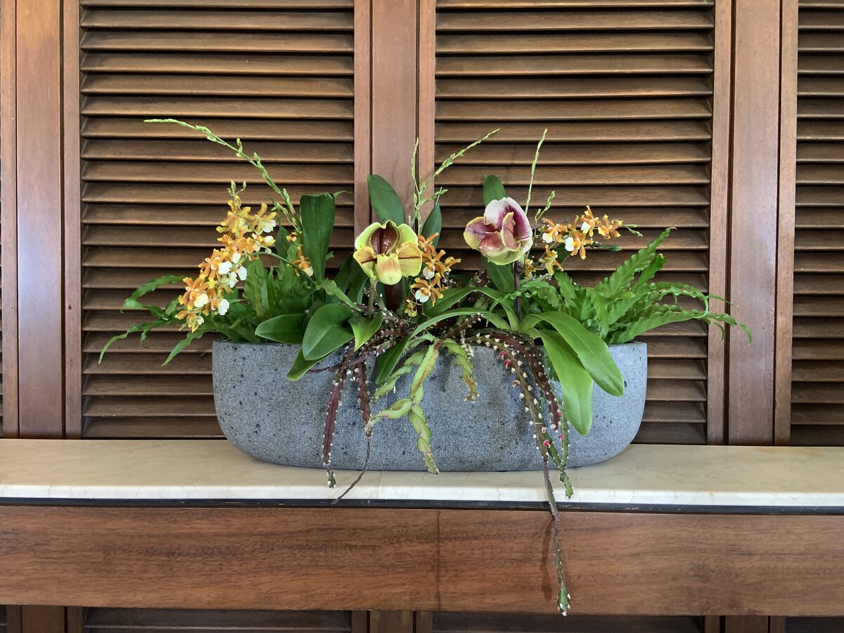 Neutral exotic orchid and greenery arrangement