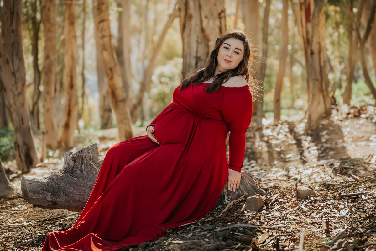 Pregnant Photography