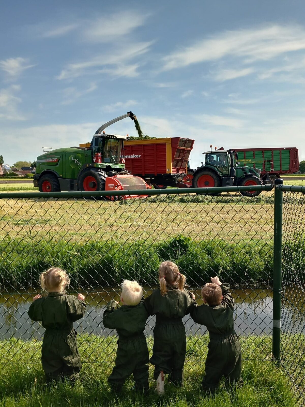 speelweide hakselen