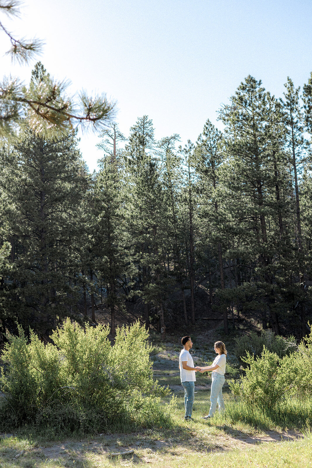 The couple holds hands and stands apart in an open, sunlit field surrounded by tall pines, as they gaze at each other from a distance.