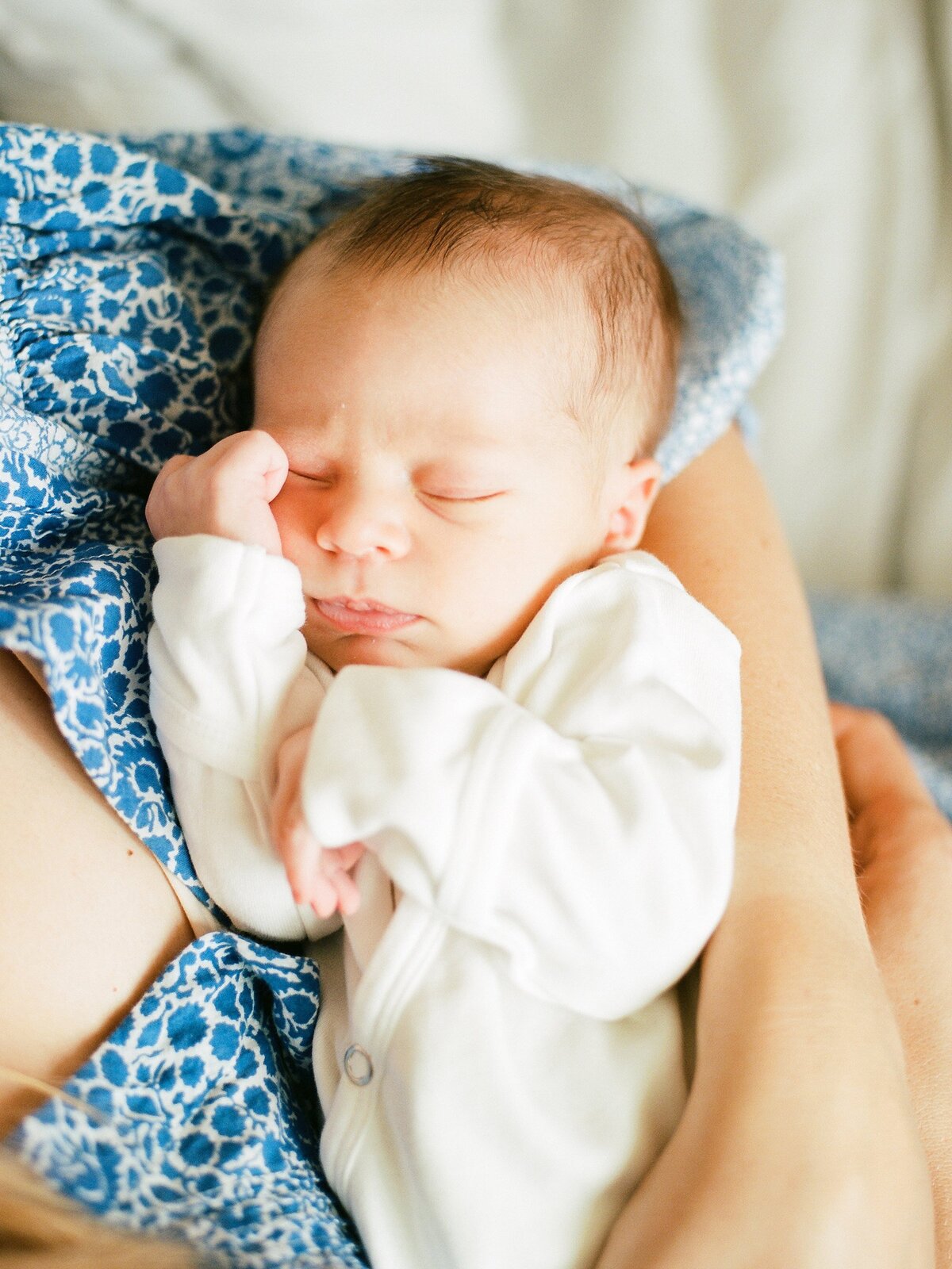modern-natural-newborn-photos-charlottesville-virginia-amy-nicole-photography-0015