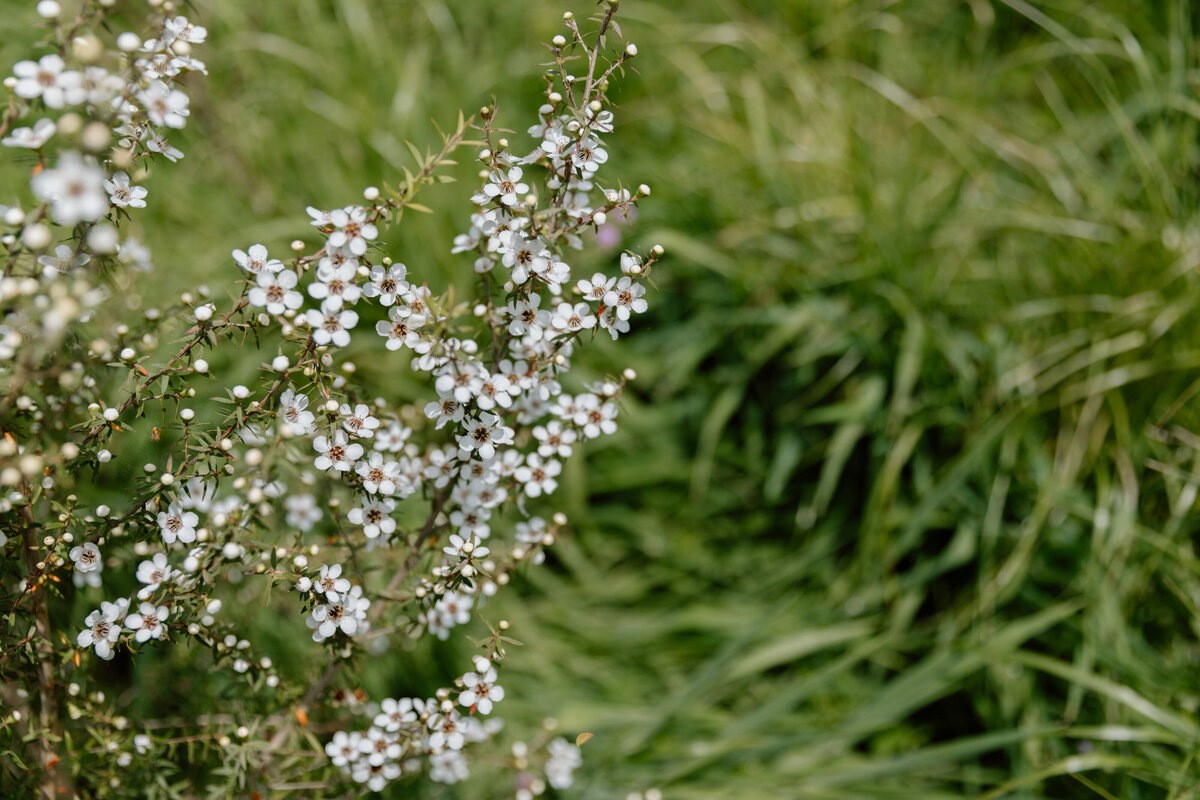 Forestry Fielday-0241