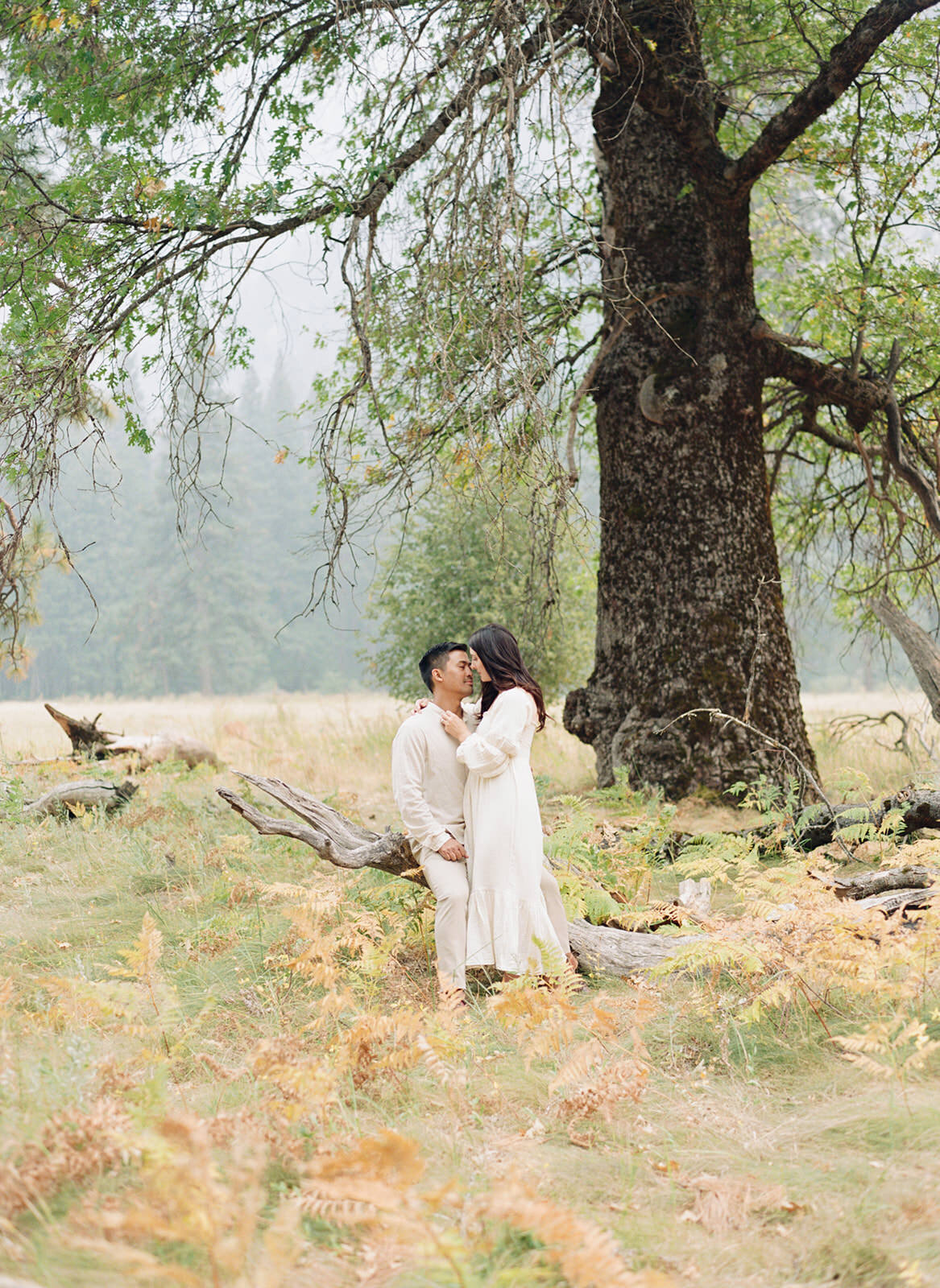 yosemite-engagement-california-wedding-photographer@TaraHodgesPhotography019