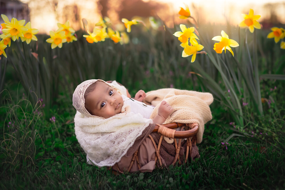 Raleigh-family-photographer-20