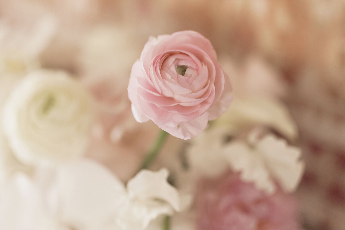 DLslideshow003