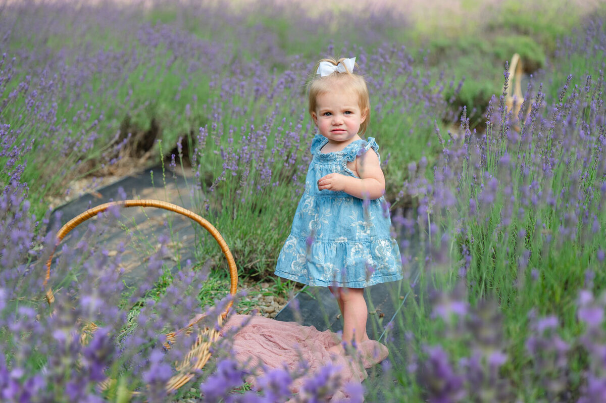 NJ slavender field photoshoot pleasant valley lavender farm-394