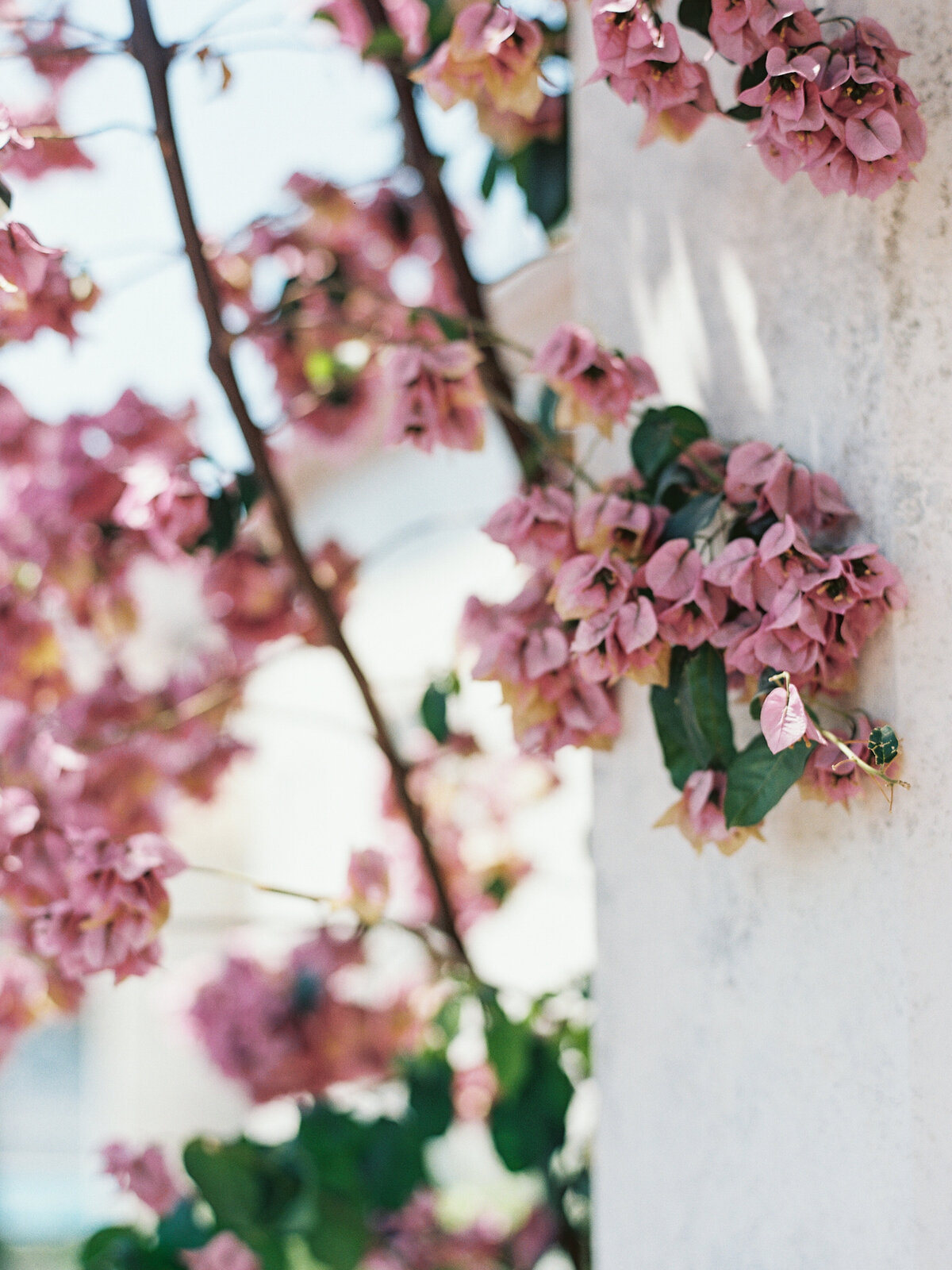 Lookbook-inprogress--108