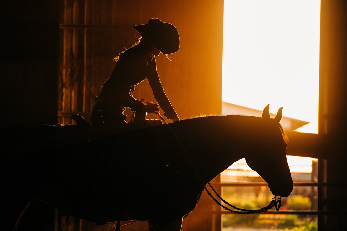 Kansas City and Wichita Equine and Elopement Photographer, image size:1200x800